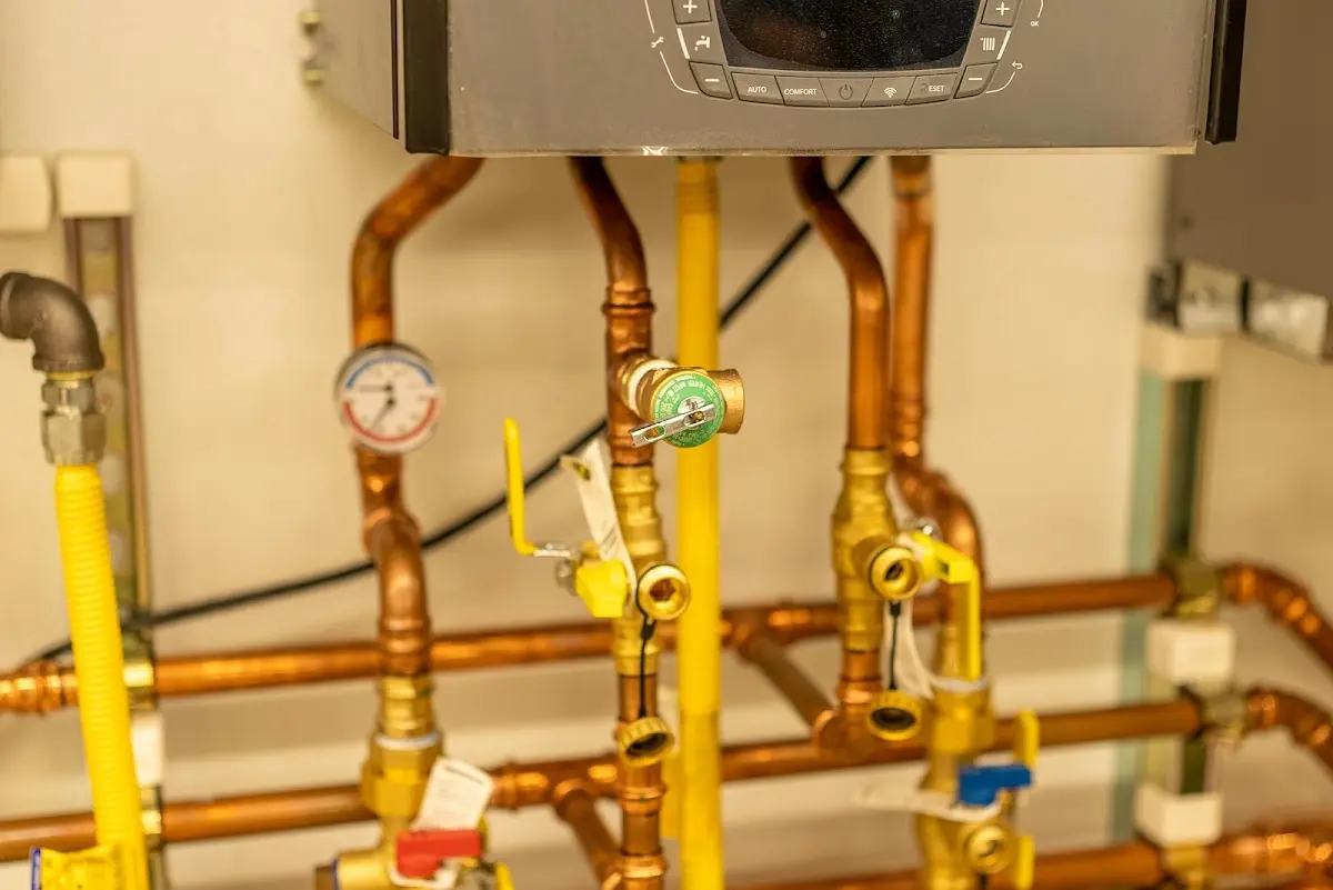 Licensed technician providing Sump Pump Repair for a homeowner in Georgetown